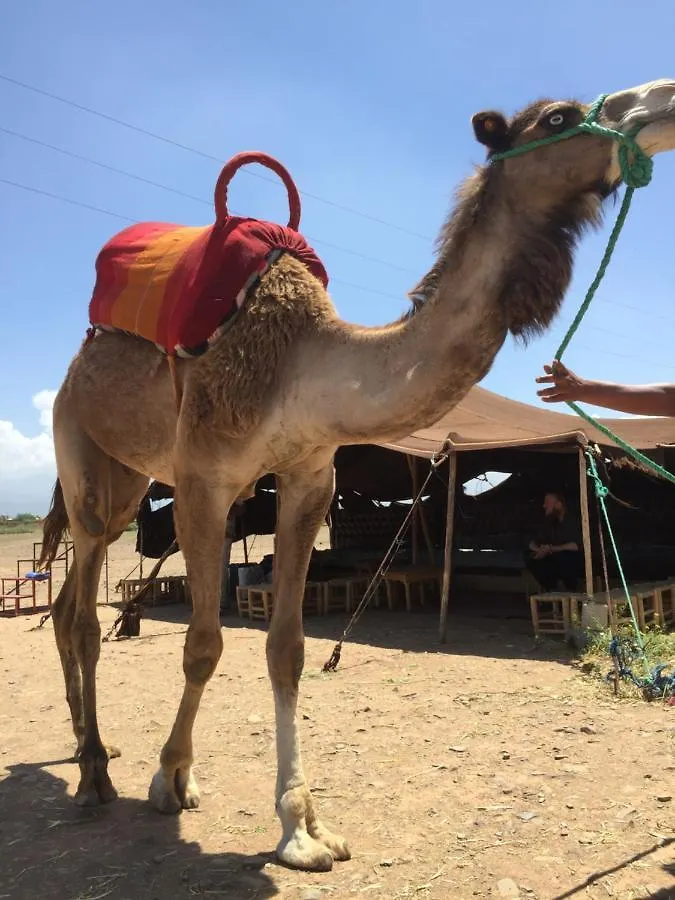 מרקש Riad Le Marrakech Berrima
